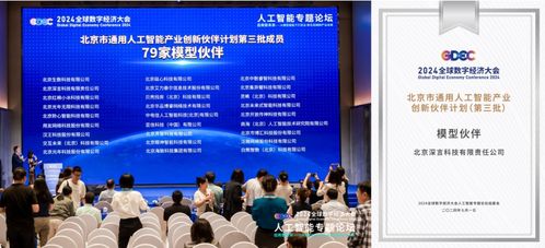 深言科技入選北京市通用人工智能產業創新伙伴計劃，賦能企業信息技術咨詢服務升級
